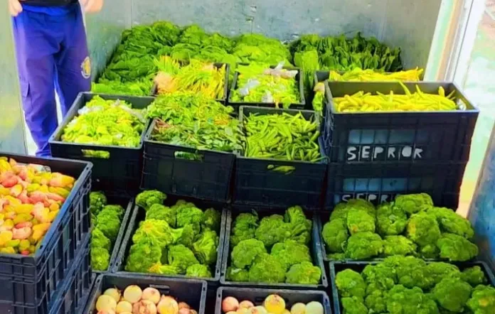 alimentos