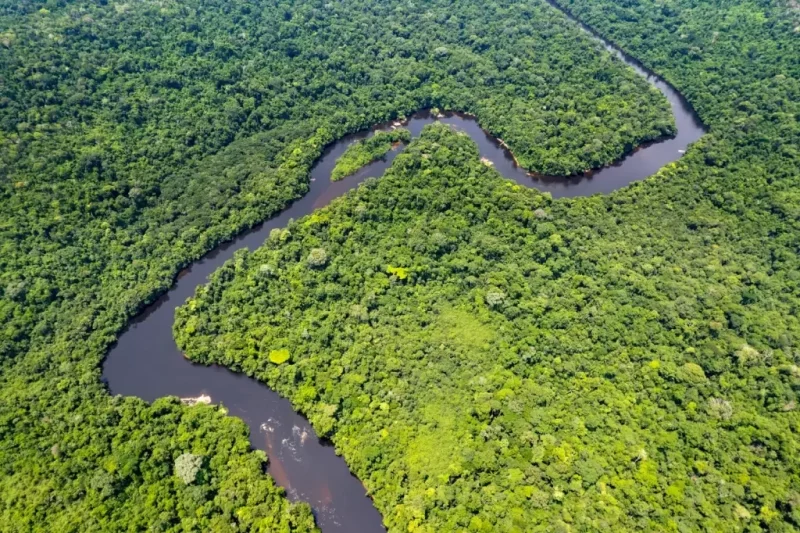 Fundo Amazônia