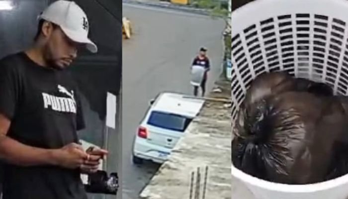 cachorro