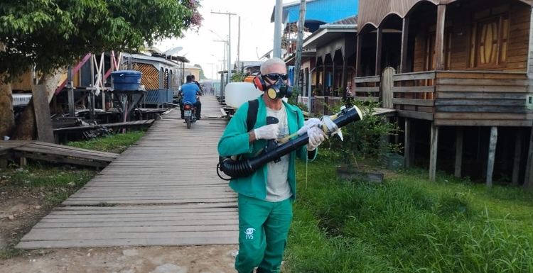 casos de dengue