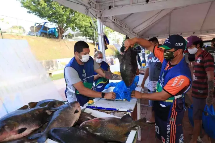 Feirão do Pescado