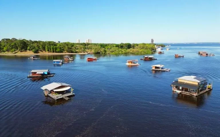 flutuantes do Tarumã-Açu