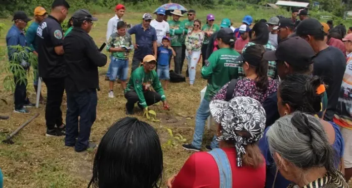produtores rurais a plantios de café