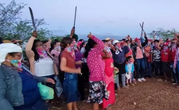 sem terra