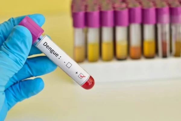 dengue