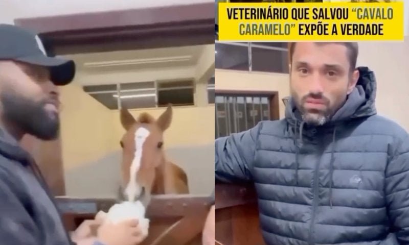 Veterinário