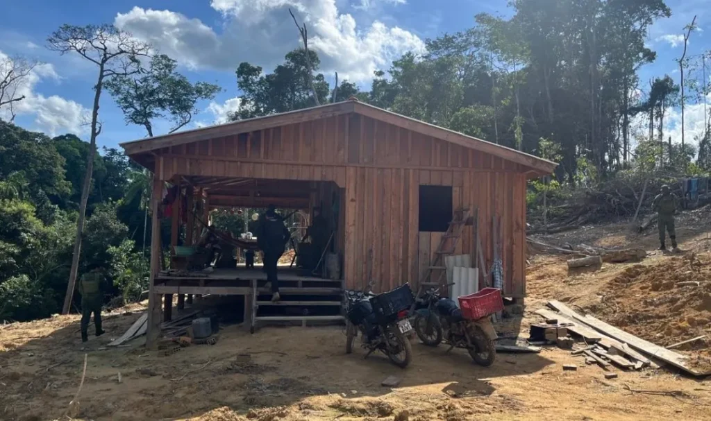 Tamoiotatá
