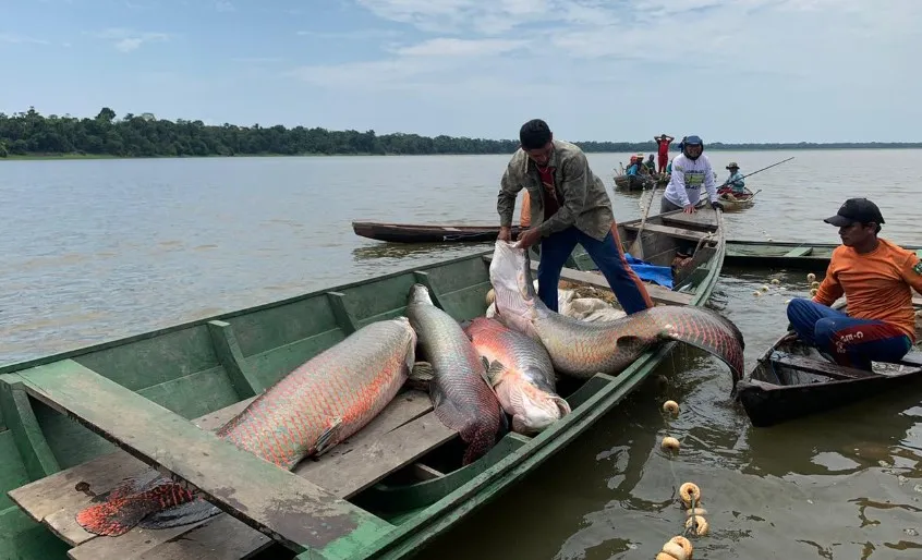 pescadores