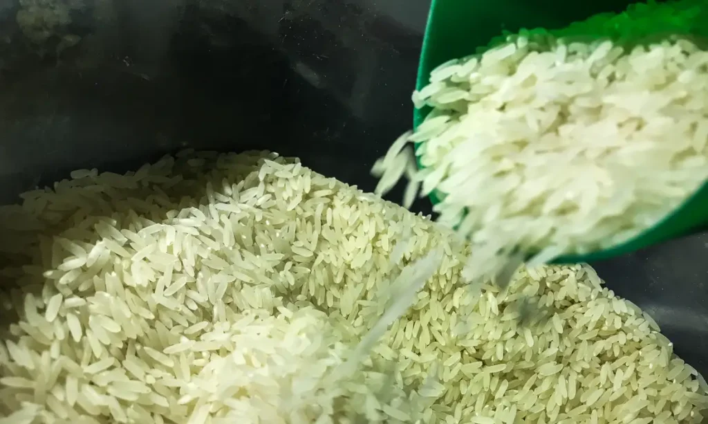 Brasil vai importar arroz