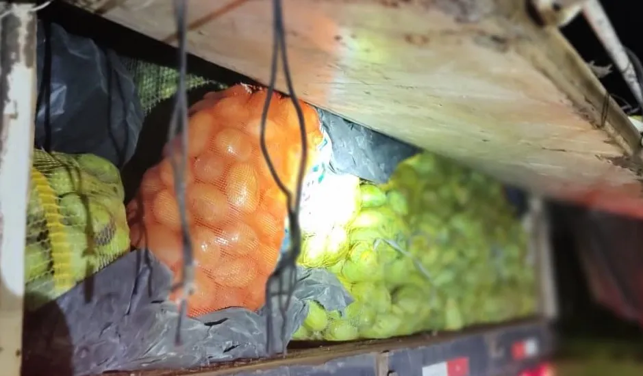 frutos com entrada proibida