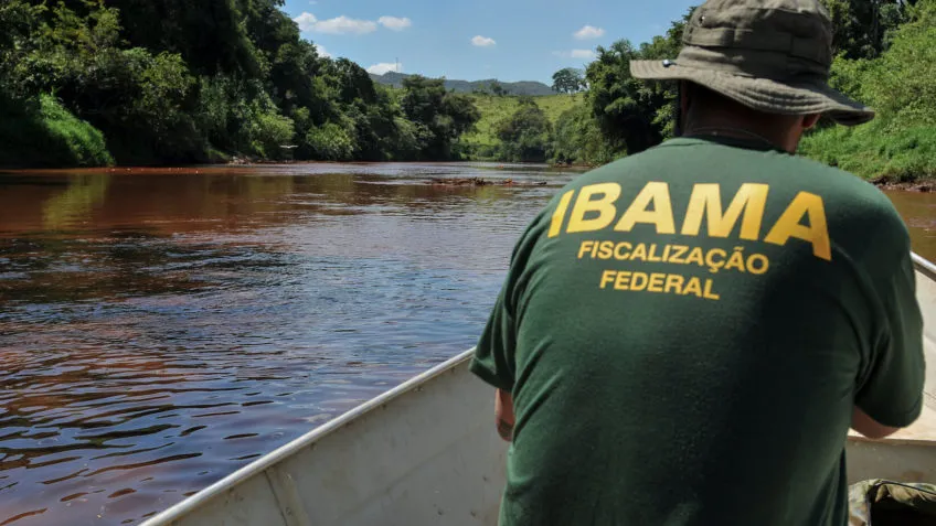 Ibama