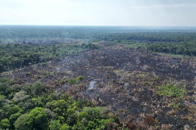 Foto: SSP-AM/Divulgação