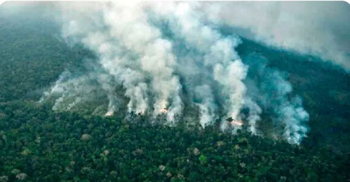 Foto: Reprodução/@TVS1oficial