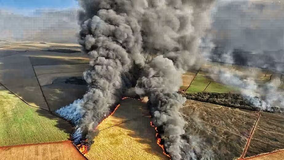 Incêndio em Sertãozinho