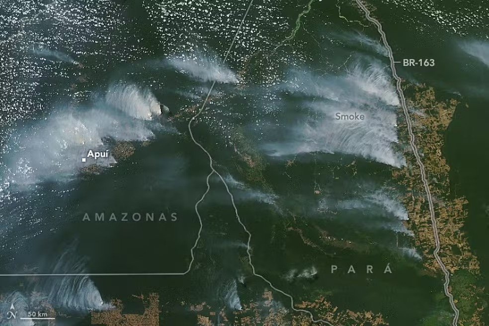 Amazonas