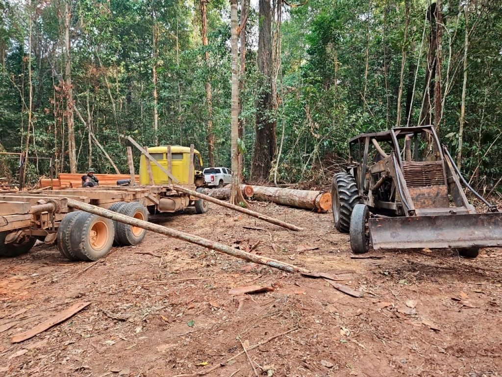crime ambiental