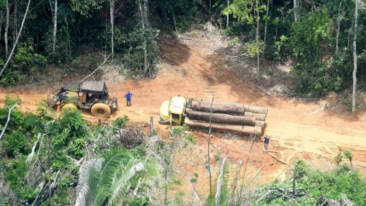 (Chico Batata/ Greenpeace) Republicação gratuita, desde que citada a fonte. AGÊNCIA CENARIUM Texto copiado de: https://agenciacenarium.com.br/terra-indigena-karipuna-tem-mais-de-mil-hectares-desmatados-em-area-de-influencia-da-br-319-em-2021/ Copyright © AGÊNCIA CENARIUM