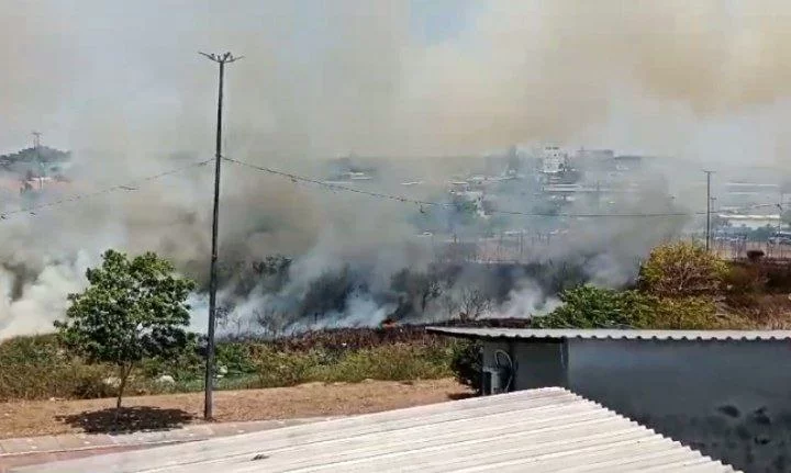 (Foto: Divulgação)