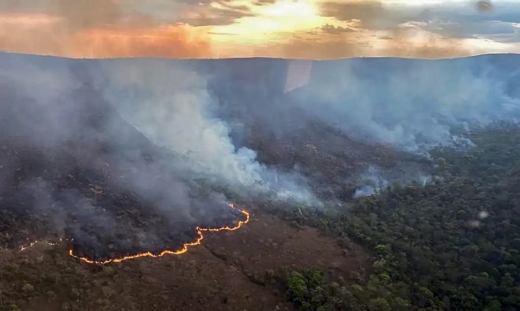 (Foto: CBMGO/Divulgação)