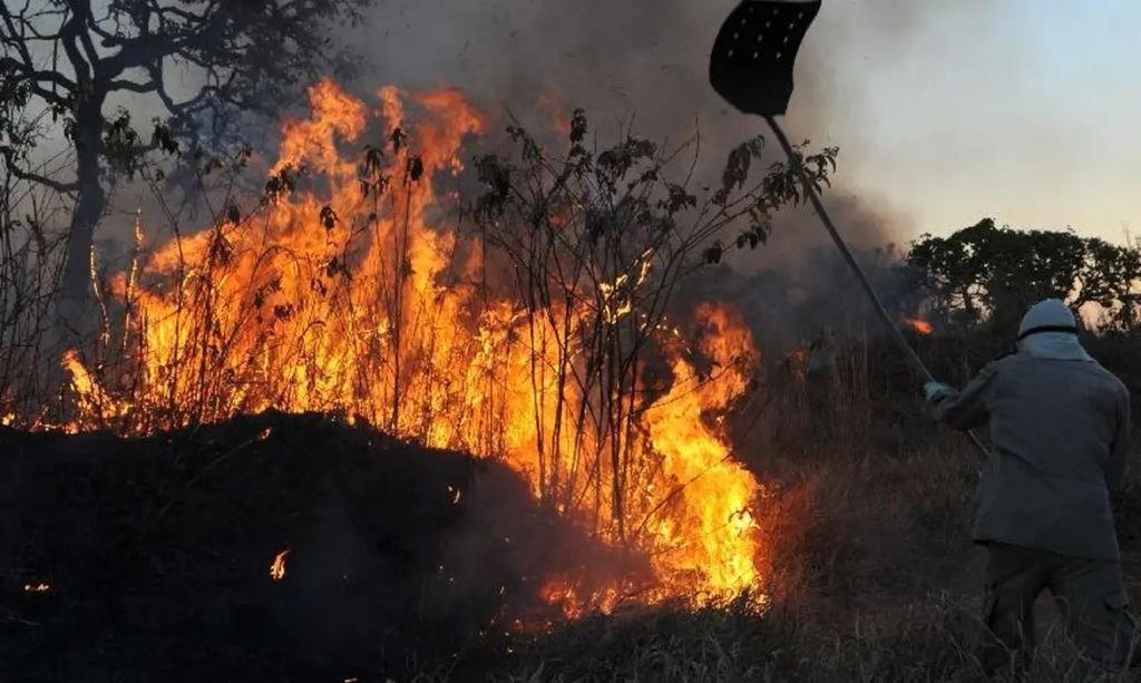 (Foto: Arquivo/Valter Campanato/Agência Brasil)