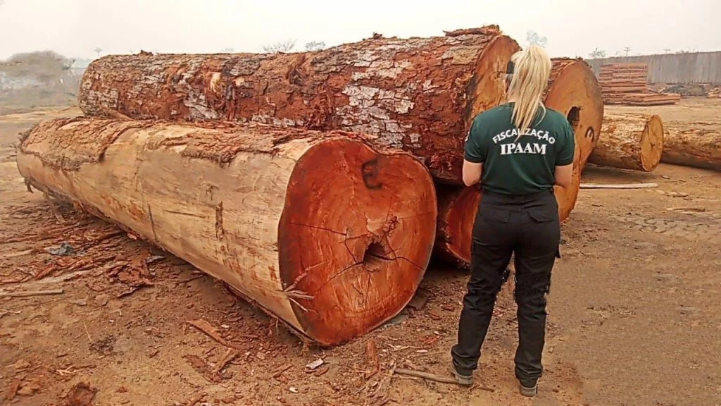 Ipaam