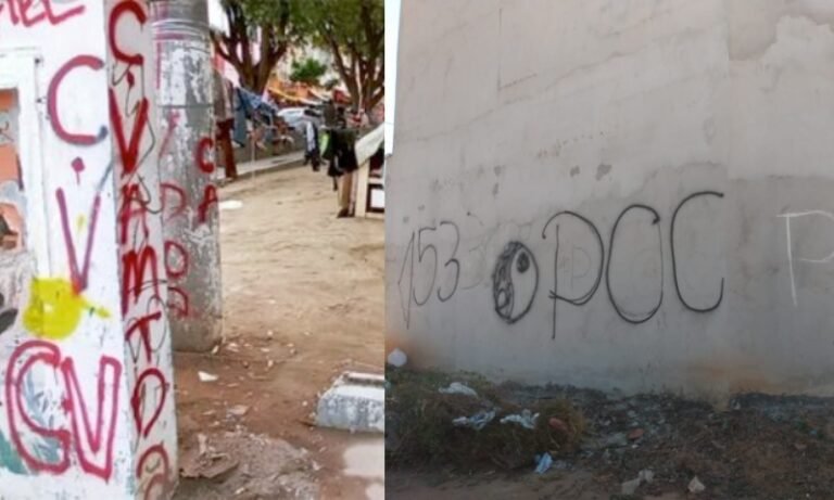 CV e PCC