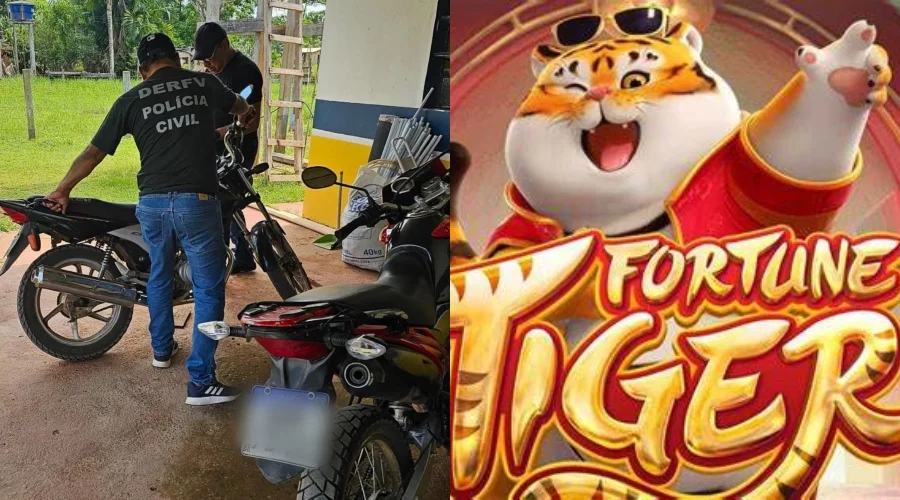 (Foto: Divulgação)