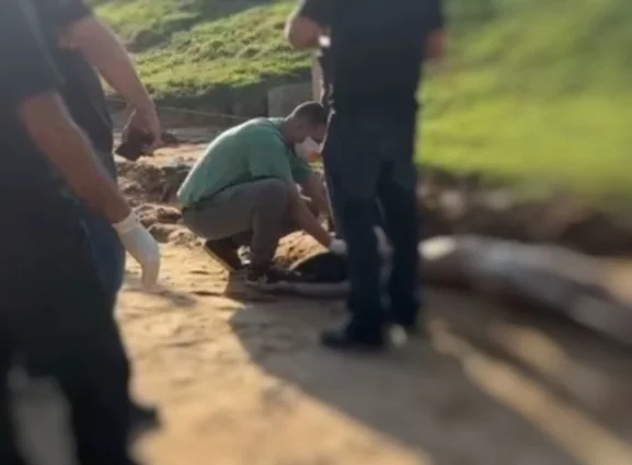 (Foto: Divulgação)