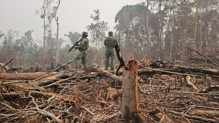 Foto: Divulgação Ibama