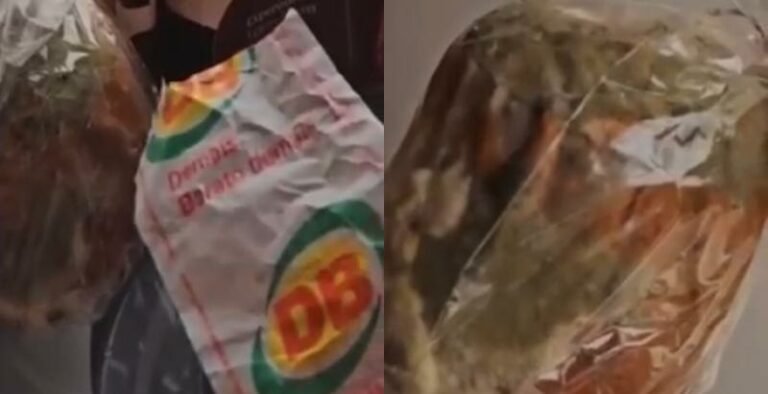 panetone estragado