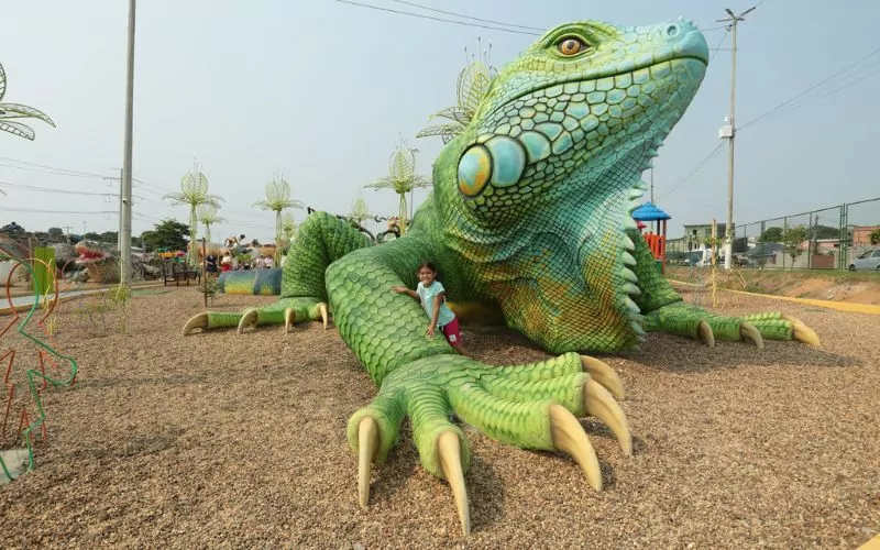 Parque Gigantes da Floresta