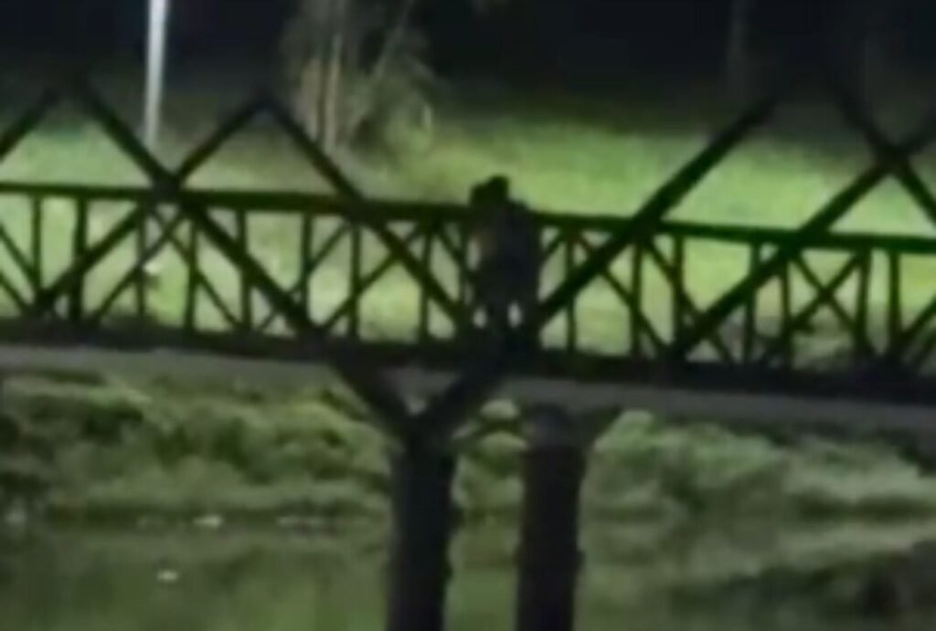 Reprodução vídeo