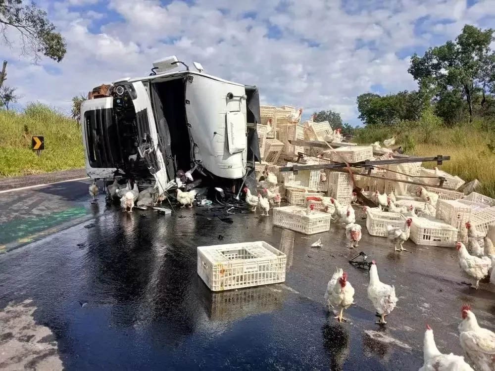 Foto: Polícia Rodoviária Federal