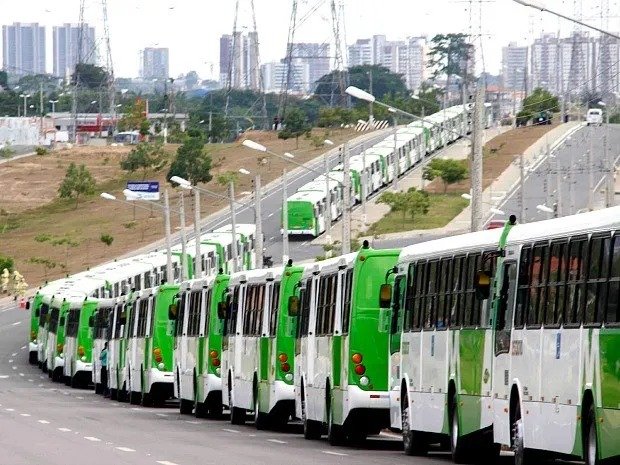 rodoviários