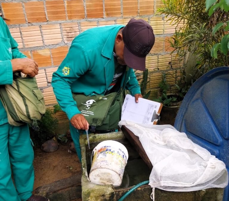 Dengue