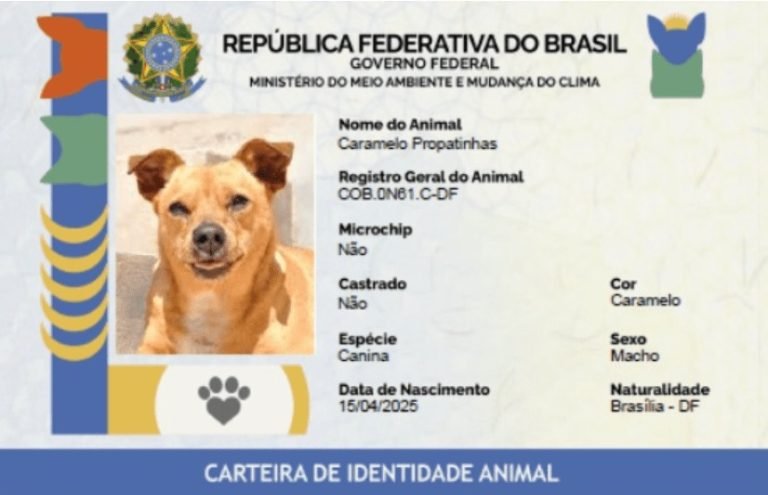 SinPatinhas