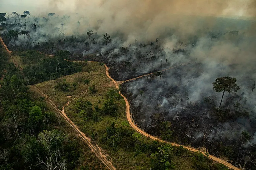 incêndios florestais