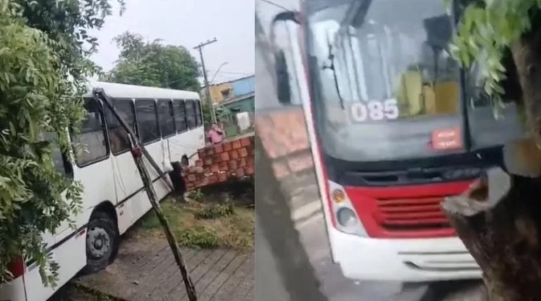 Ônibus
