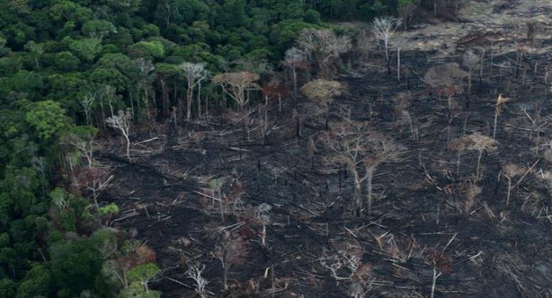 Desmatamento na Amazônia
