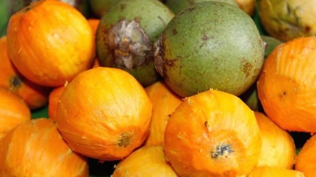 Preço do tucumã dispara em Manaus