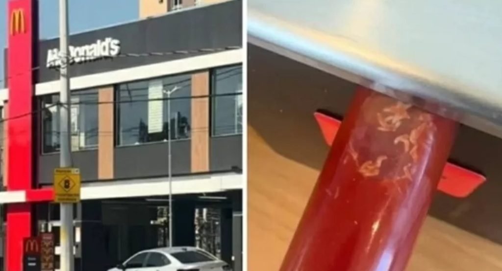 larvas em ketchup de McDonald’s