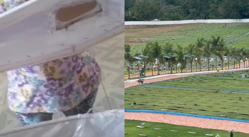 bebê dado como morto