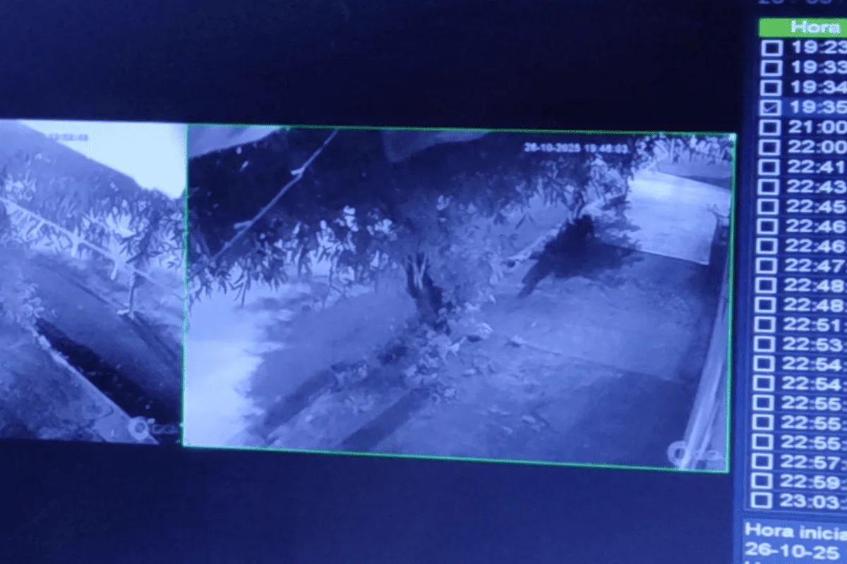 homem mata a própria filha com barra de ferro na calçada