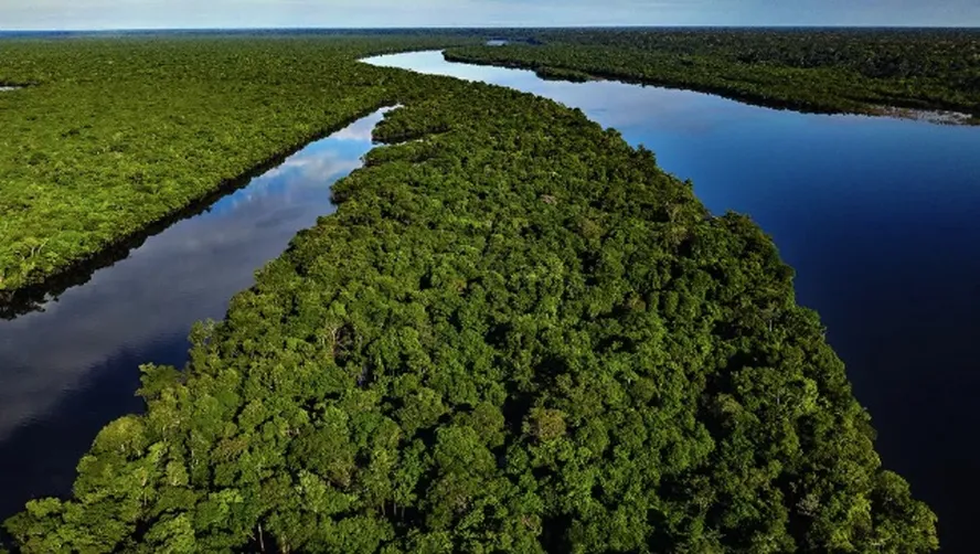 Foto: Divulgação/ Imagem de Drone/Amazônia